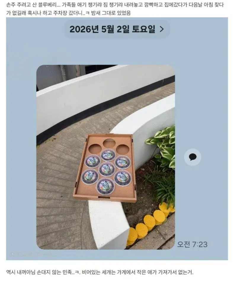 saga1778416522_1857746517.jpg