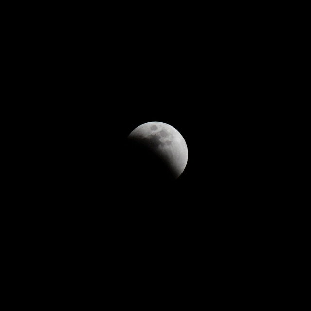 05.DSC_6298~7263_crop_640x0.1_0.5sec.gif