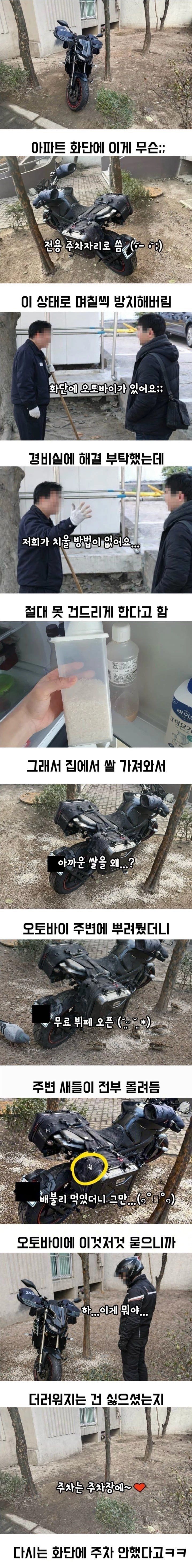 02.jpg