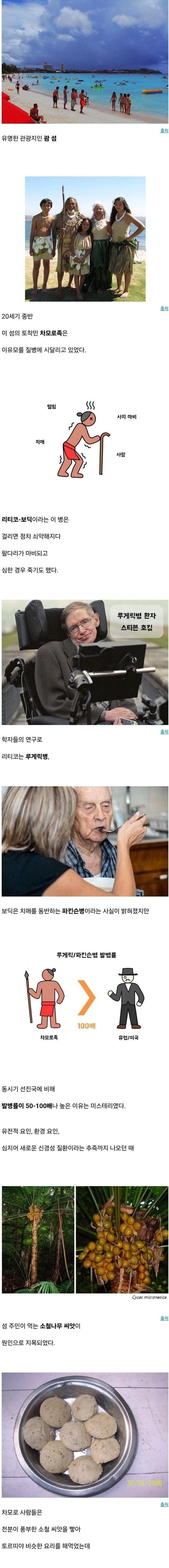 01.jpg